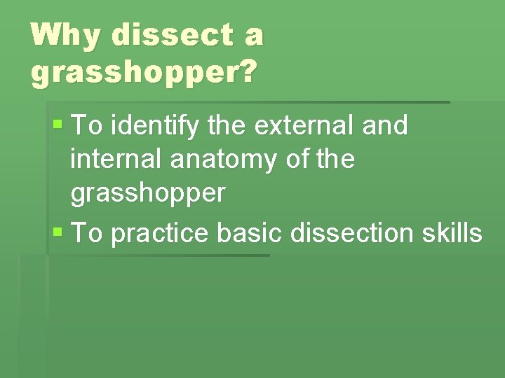Why dissect a grasshopper? § To identify the external and internal anatomy of the