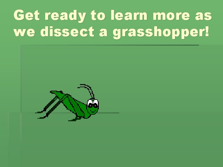 Get ready to learn more as we dissect a grasshopper! 