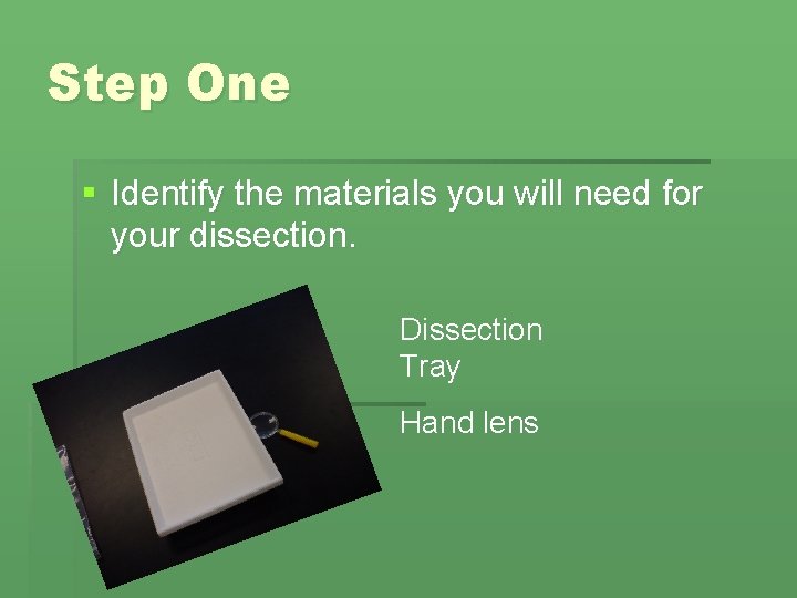 Step One § Identify the materials you will need for your dissection. Dissection Tray