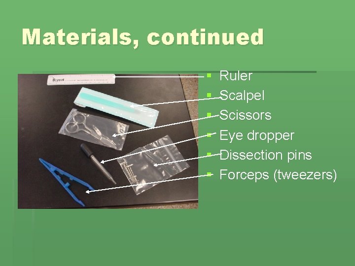Materials, continued § § § Ruler Scalpel Scissors Eye dropper Dissection pins Forceps (tweezers)