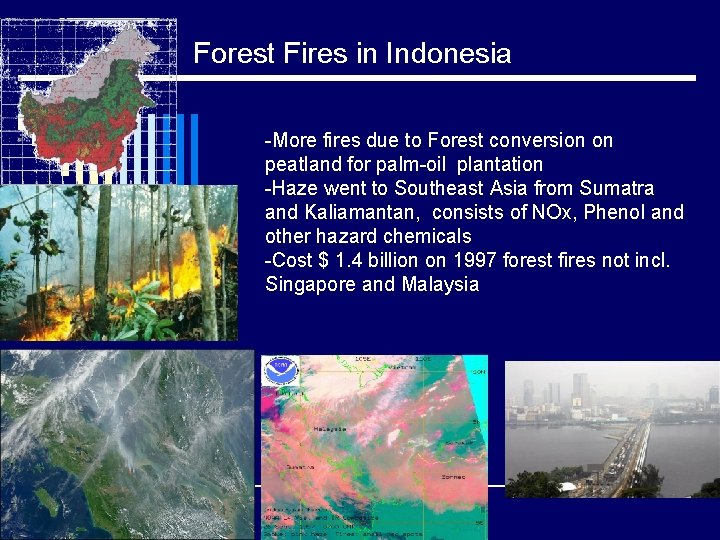 Forest Fires in Indonesia -More fires due to Forest conversion on peatland for palm-oil