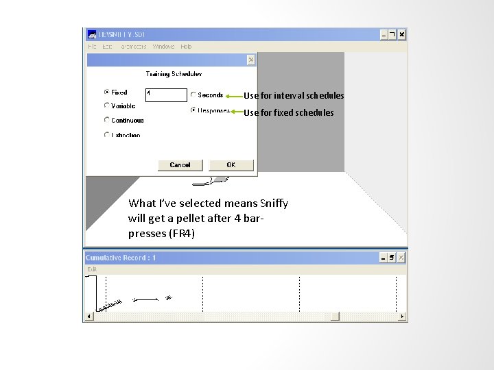 Use for interval schedules Use for fixed schedules What I’ve selected means Sniffy will