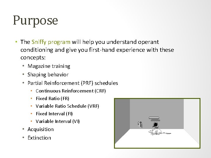 Purpose • The Sniffy program will help you understand operant conditioning and give you