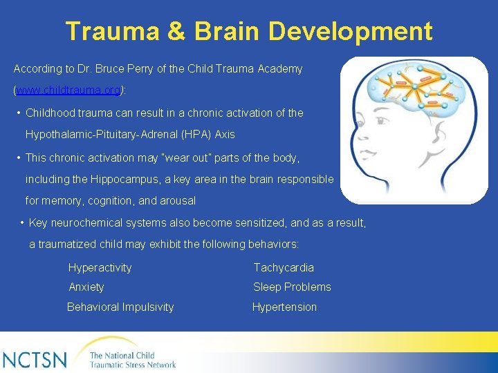 Trauma & Brain Development According to Dr. Bruce Perry of the Child Trauma Academy
