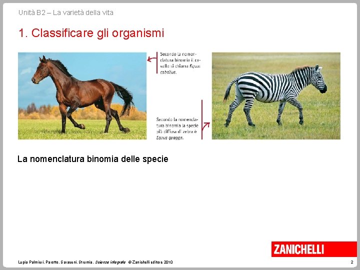 Unità B 2 – La varietà della vita 1. Classificare gli organismi La nomenclatura