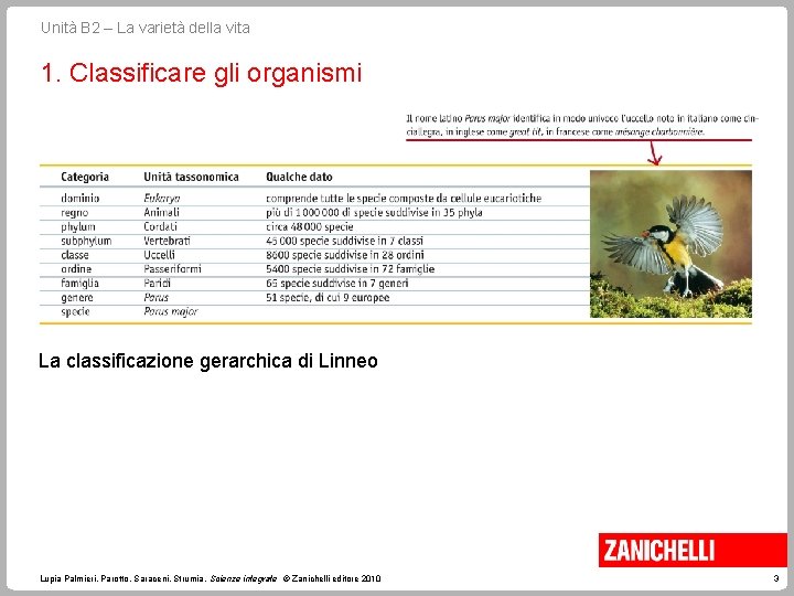 Unità B 2 – La varietà della vita 1. Classificare gli organismi La classificazione