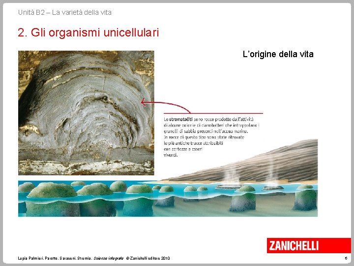 Unità B 2 – La varietà della vita 2. Gli organismi unicellulari L’origine della