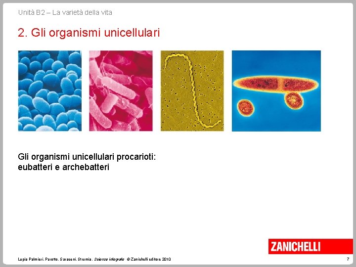 Unità B 2 – La varietà della vita 2. Gli organismi unicellulari procarioti: eubatteri