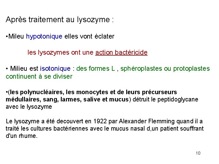 Après traitement au lysozyme : • Mileu hypotonique elles vont éclater les lysozymes ont