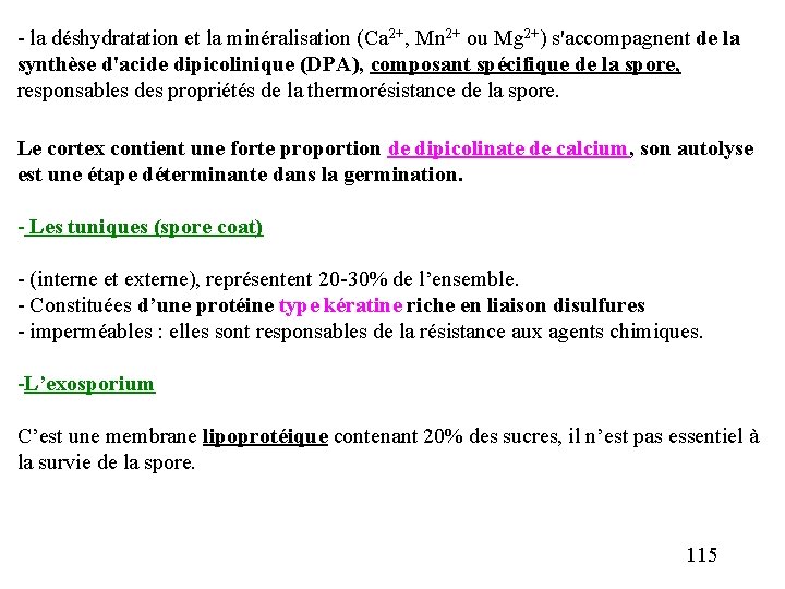 - la déshydratation et la minéralisation (Ca 2+, Mn 2+ ou Mg 2+) s'accompagnent