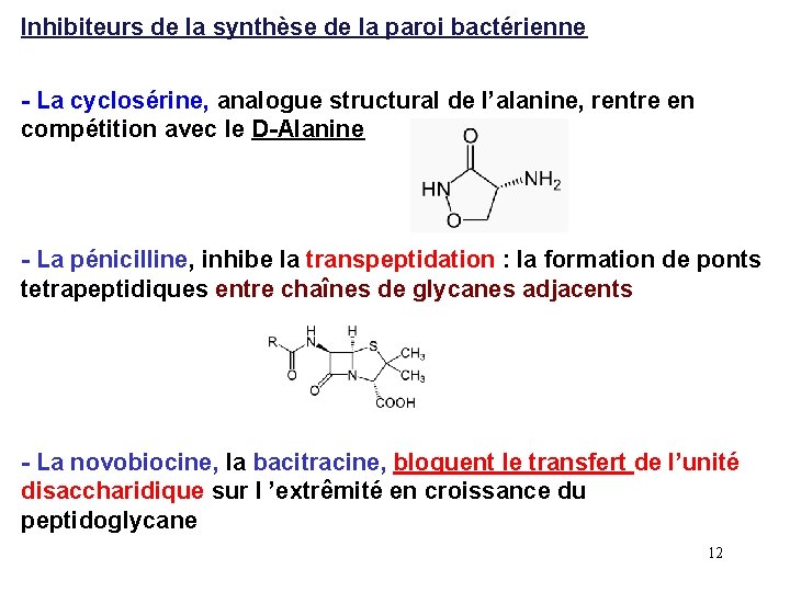 Inhibiteurs de la synthèse de la paroi bactérienne - La cyclosérine, analogue structural de