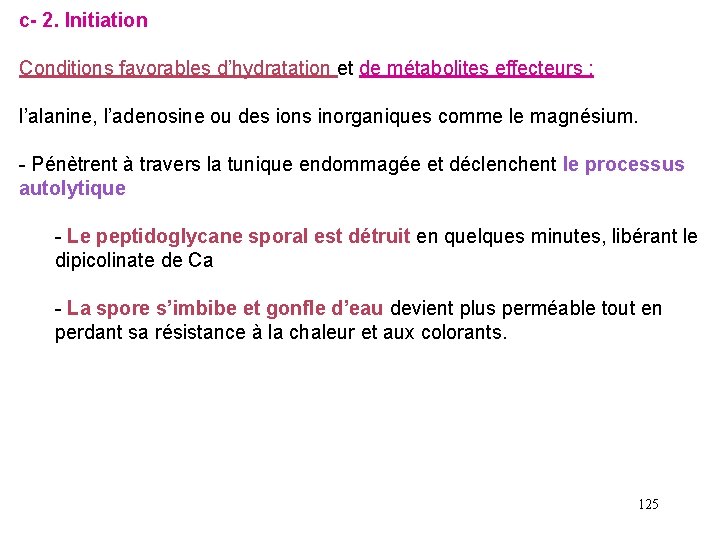 c- 2. Initiation Conditions favorables d’hydratation et de métabolites effecteurs : l’alanine, l’adenosine ou
