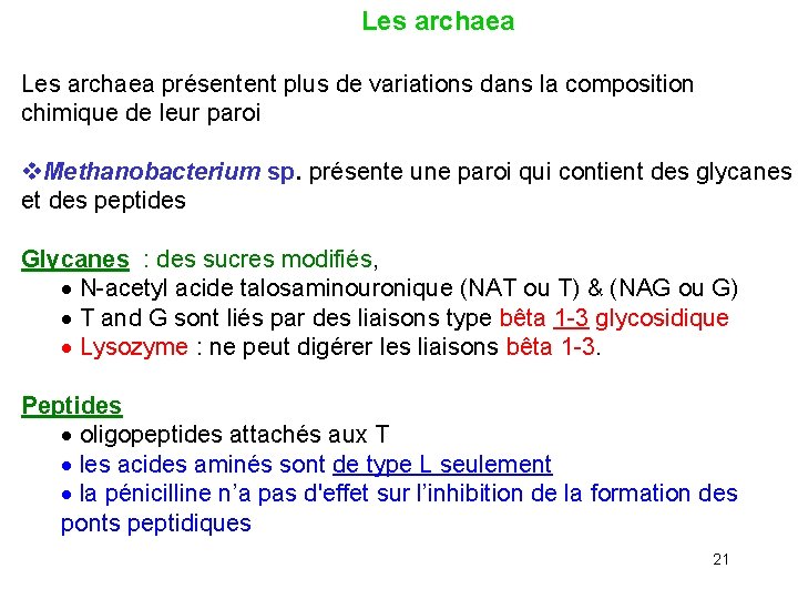  Les archaea présentent plus de variations dans la composition chimique de leur paroi