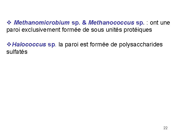  Methanomicrobium sp. & Methanococcus sp. : ont une paroi exclusivement formée de sous