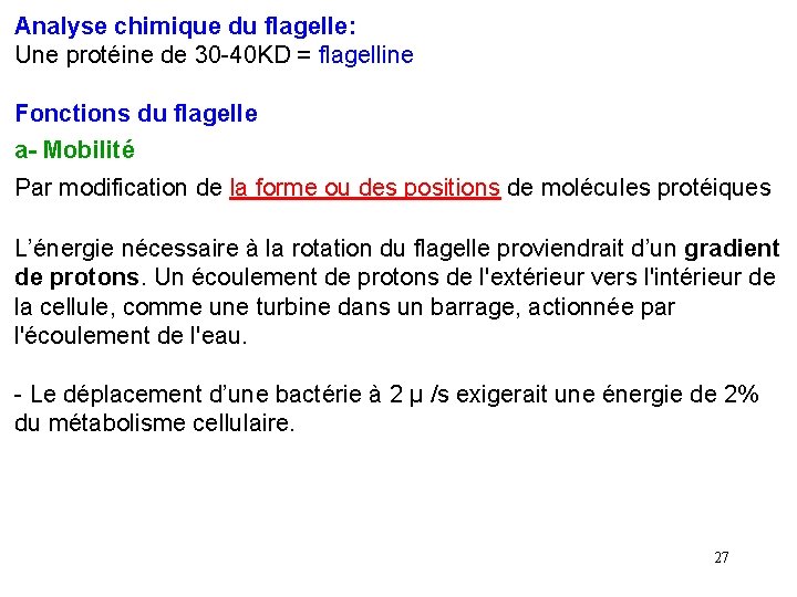 Analyse chimique du flagelle: Une protéine de 30 -40 KD = flagelline Fonctions du