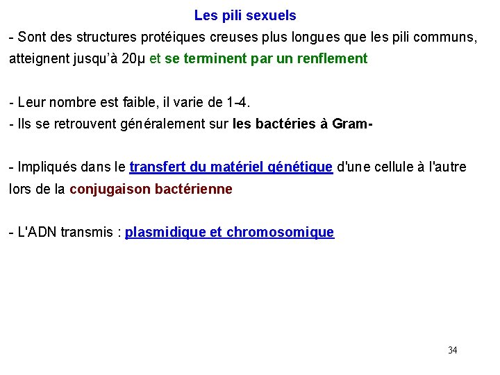  Les pili sexuels - Sont des structures protéiques creuses plus longues que les