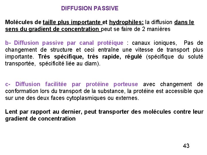  DIFFUSION PASSIVE Molécules de taille plus importante et hydrophiles: la diffusion dans le