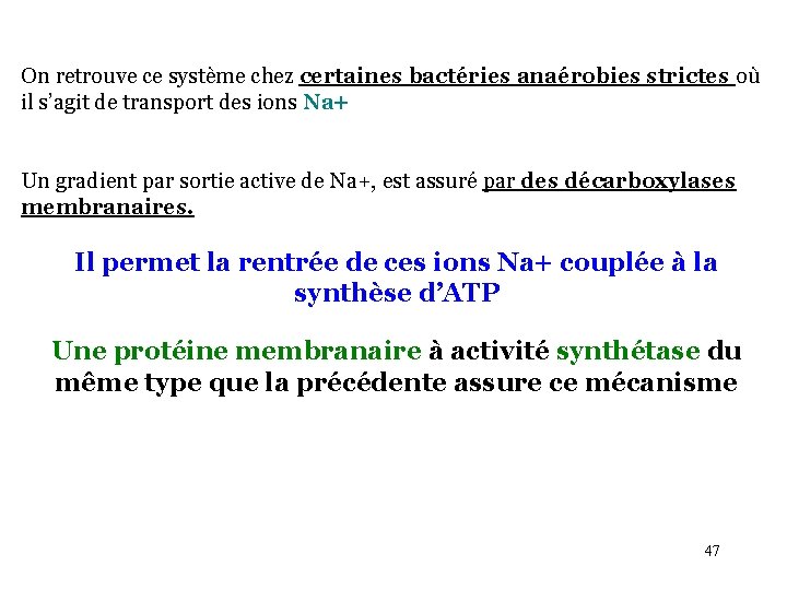 On retrouve ce système chez certaines bactéries anaérobies strictes où il s’agit de transport