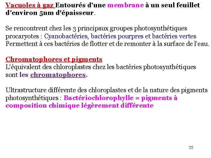 Vacuoles à gaz Entourés d’une membrane à un seul feuillet d’environ 5 nm d'épaisseur.