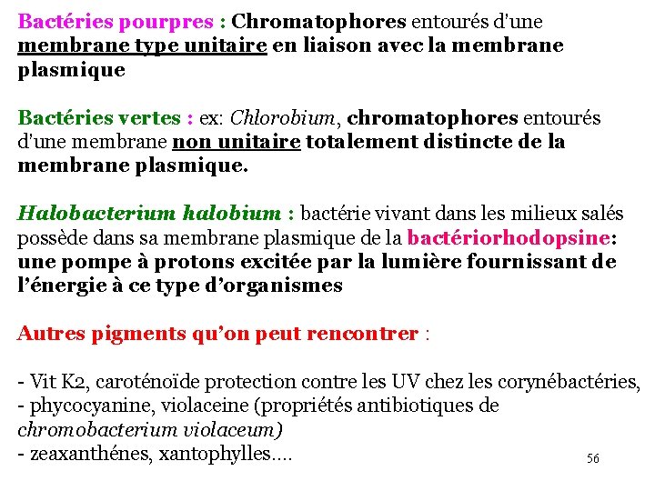 Bactéries pourpres : Chromatophores entourés d’une membrane type unitaire en liaison avec la membrane