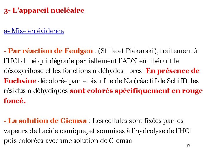 3 - L’appareil nucléaire a- Mise en évidence - Par réaction de Feulgen :