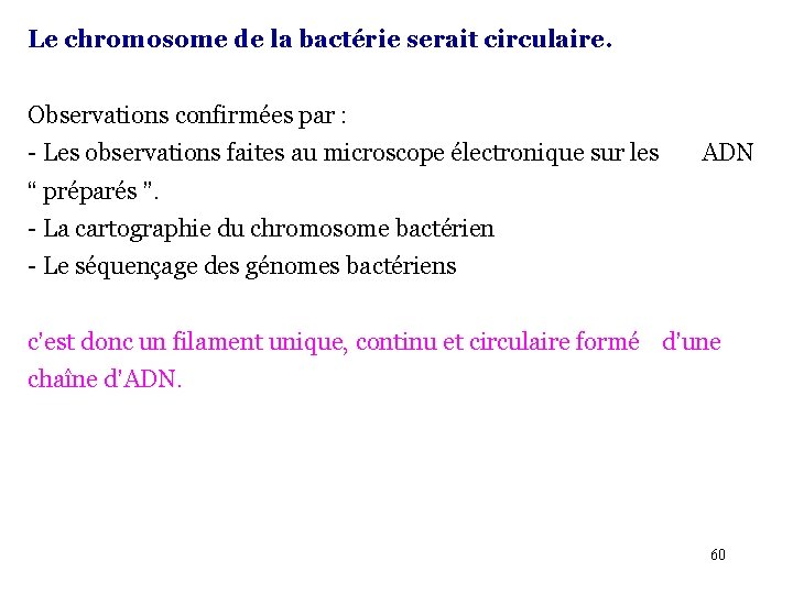 Le chromosome de la bactérie serait circulaire. Observations confirmées par : - Les observations