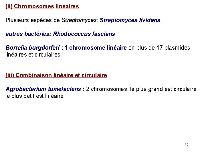 (ii) Chromosomes linéaires Plusieurs espèces de Streptomyces: Streptomyces lividans, autres bactéries: Rhodococcus fascians Borrelia