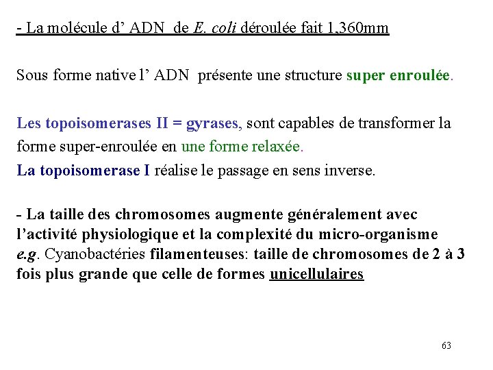 - La molécule d’ ADN de E. coli déroulée fait 1, 360 mm Sous