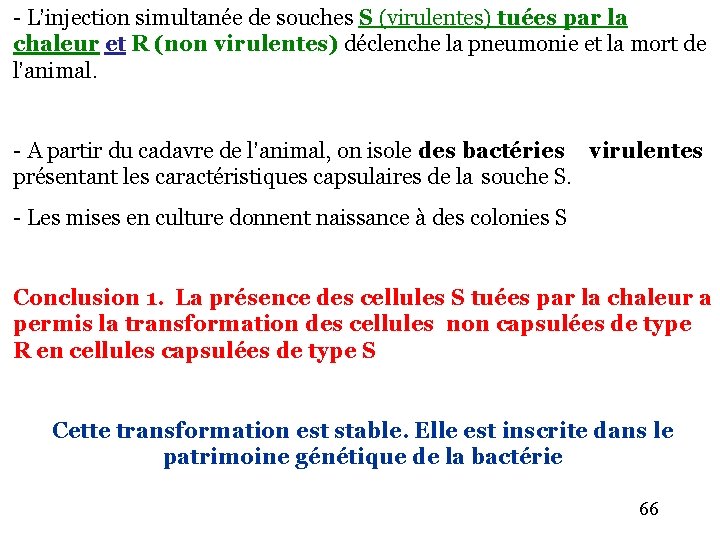 - L’injection simultanée de souches S (virulentes) tuées par la chaleur et R (non