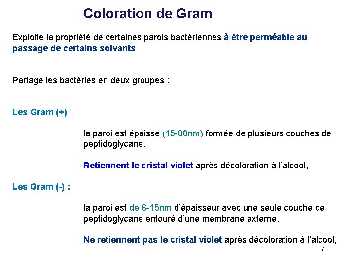 Coloration de Gram Exploite la propriété de certaines parois bactériennes à être perméable au