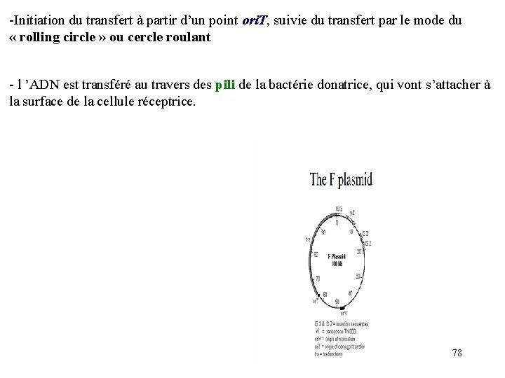 -Initiation du transfert à partir d’un point ori. T, suivie du transfert par le