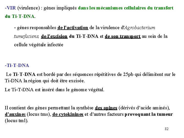 -VIR (virulence) : gènes impliqués dans les mécanismes cellulaires du transfert du Ti T