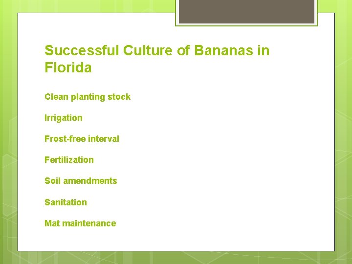 Successful Culture of Bananas in Florida Clean planting stock Irrigation Frost-free interval Fertilization Soil