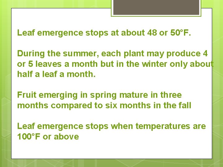 Leaf emergence stops at about 48 or 50°F. During the summer, each plant may