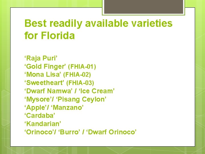 Best readily available varieties for Florida ‘Raja Puri’ ‘Gold Finger’ (FHIA-01) ‘Mona Lisa’ (FHIA-02)