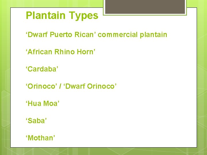 Plantain Types ‘Dwarf Puerto Rican’ commercial plantain ‘African Rhino Horn’ ‘Cardaba’ ‘Orinoco’ / ‘Dwarf