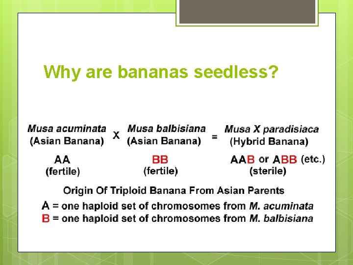 Why are bananas seedless? 