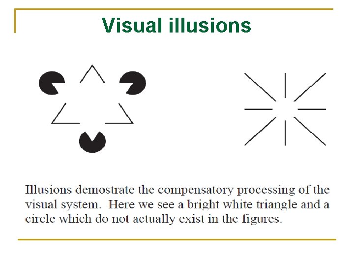 Visual illusions 