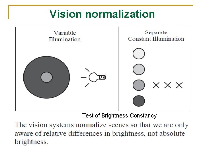 Vision normalization Test of Brightness Constancy 