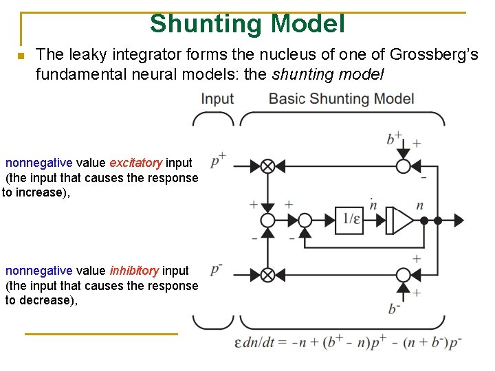 Shunting Model n The leaky integrator forms the nucleus of one of Grossberg’s fundamental