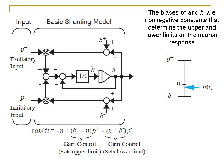 The biases b+ and b- are nonnegative constants that determine the upper and lower