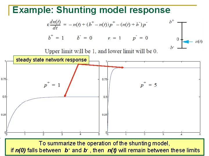 Example: Shunting model response steady state network response To summarize the operation of the