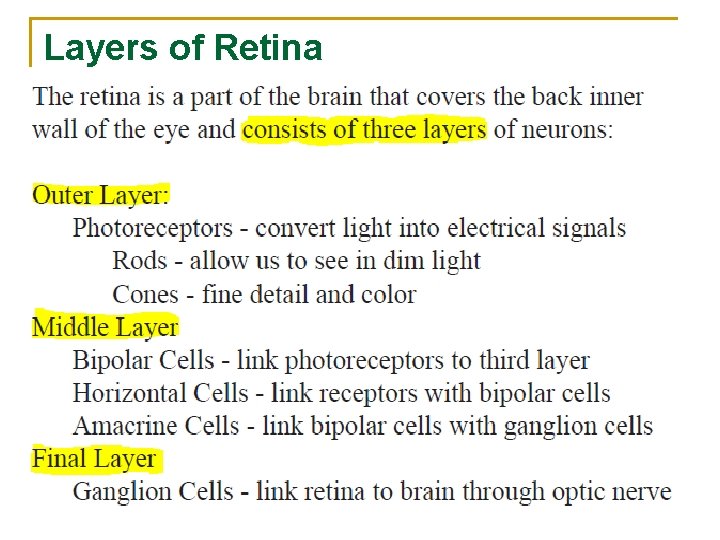 Layers of Retina 