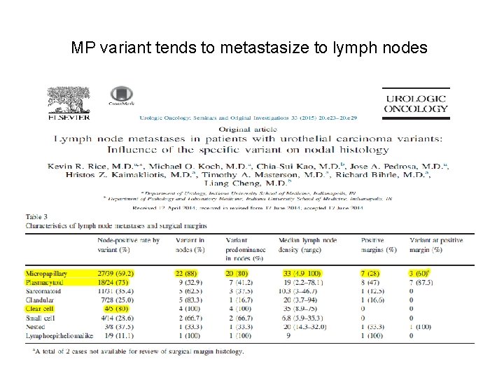 MP variant tends to metastasize to lymph nodes 