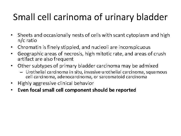 Small cell carinoma of urinary bladder • Sheets and occasionally nests of cells with