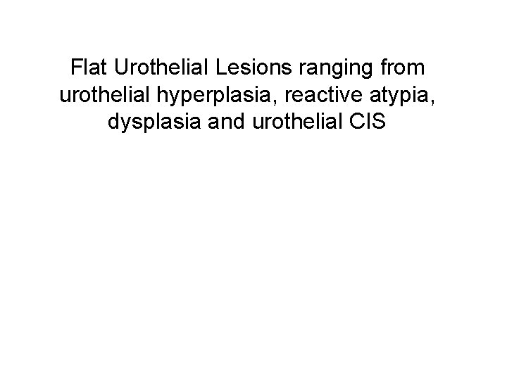 Flat Urothelial Lesions ranging from urothelial hyperplasia, reactive atypia, dysplasia and urothelial CIS 
