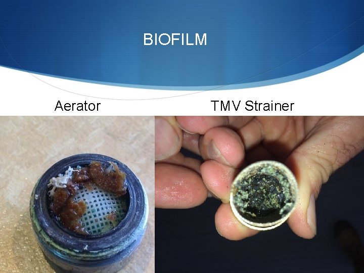 BIOFILM Aerator TMV Strainer 