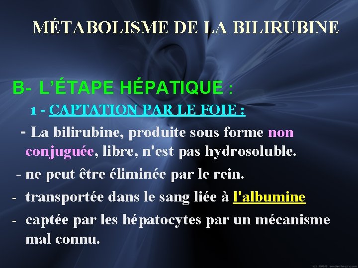 MÉTABOLISME DE LA BILIRUBINE B- L’ÉTAPE HÉPATIQUE : 1 - CAPTATION PAR LE FOIE