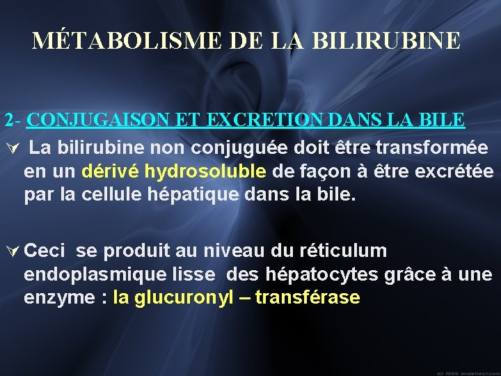 MÉTABOLISME DE LA BILIRUBINE 2 - CONJUGAISON ET EXCRETION DANS LA BILE Ú La