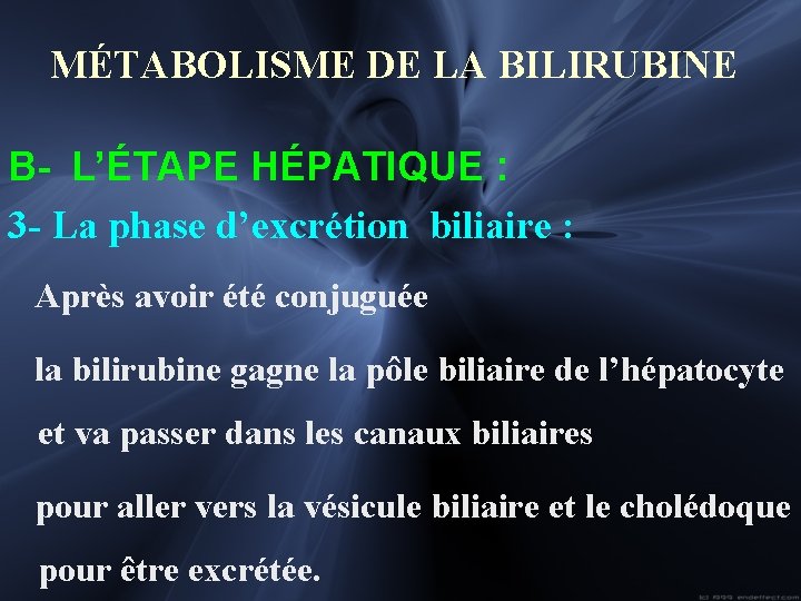 MÉTABOLISME DE LA BILIRUBINE B- L’ÉTAPE HÉPATIQUE : 3 - La phase d’excrétion biliaire